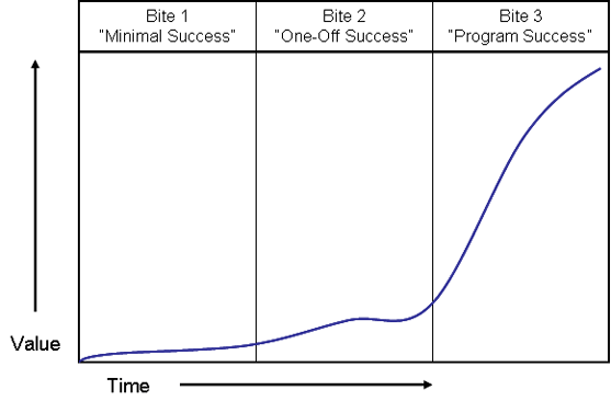 maturity-path-to-program-success