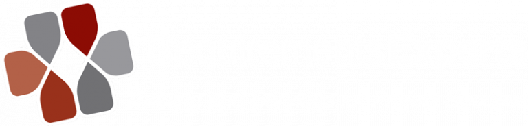 Requirement Experts Logo